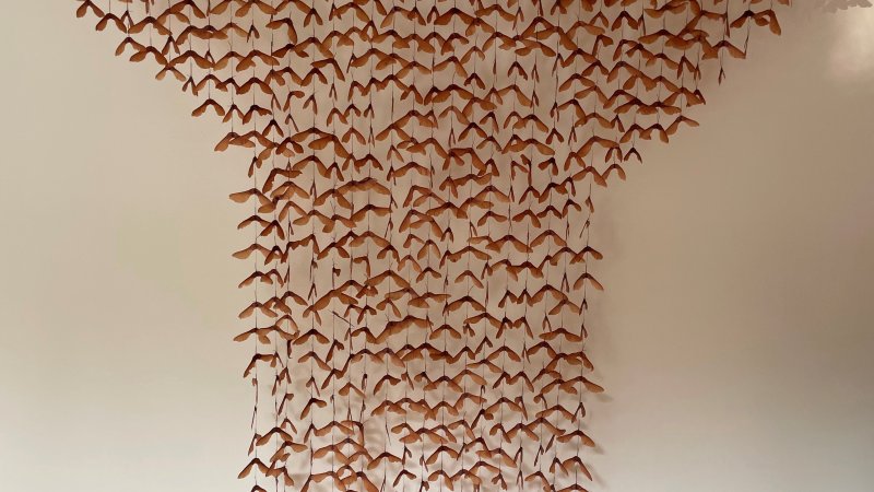 A sculpture of hundreds of maple seeds attached together with string and hanging from the ceiling against a wall in a coat-like shape
