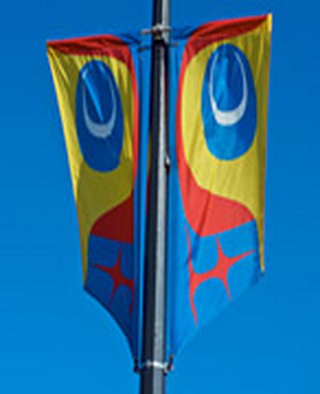 Robert Davidson Street Banners