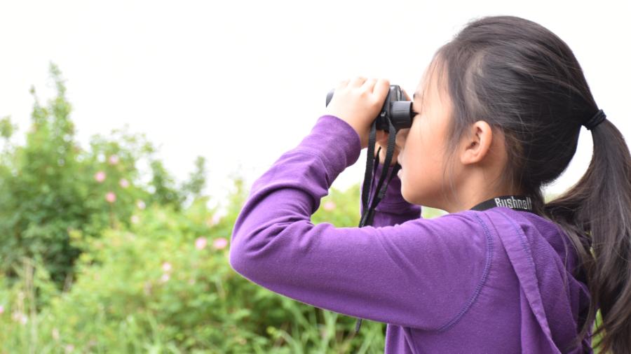 Resources for Outdoor Learning