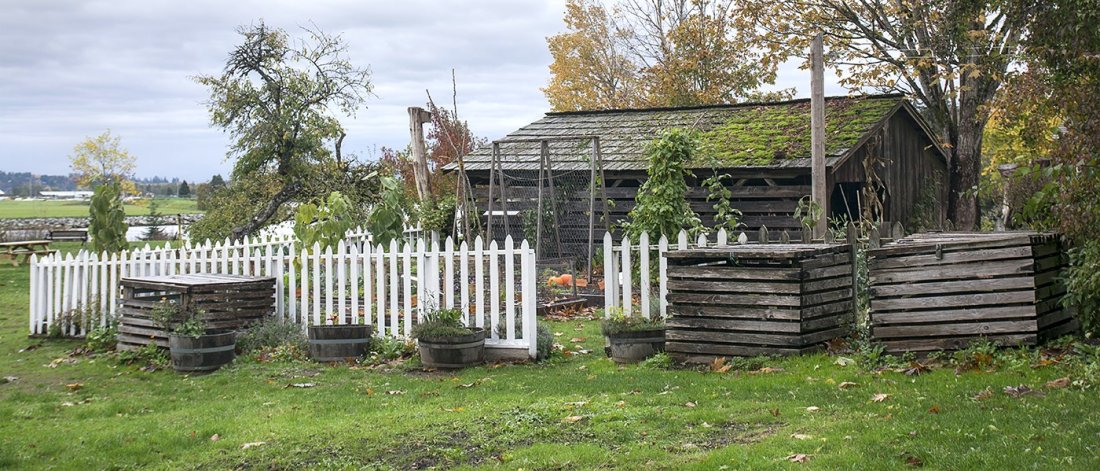 The heirloom garden and woodshed