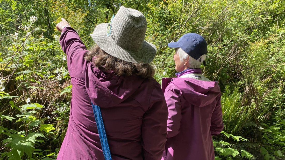 May 29, Birding Walk, Sunnyside Acres Urban Forest