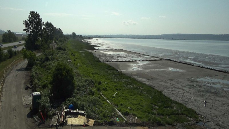web cam photo of living dyke at mud bay