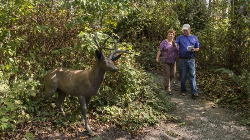  Steve Tyree - Mule Deer