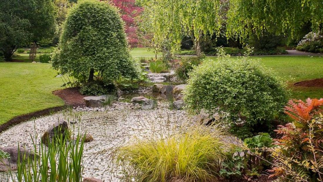 Pond_at_Bear_Creek