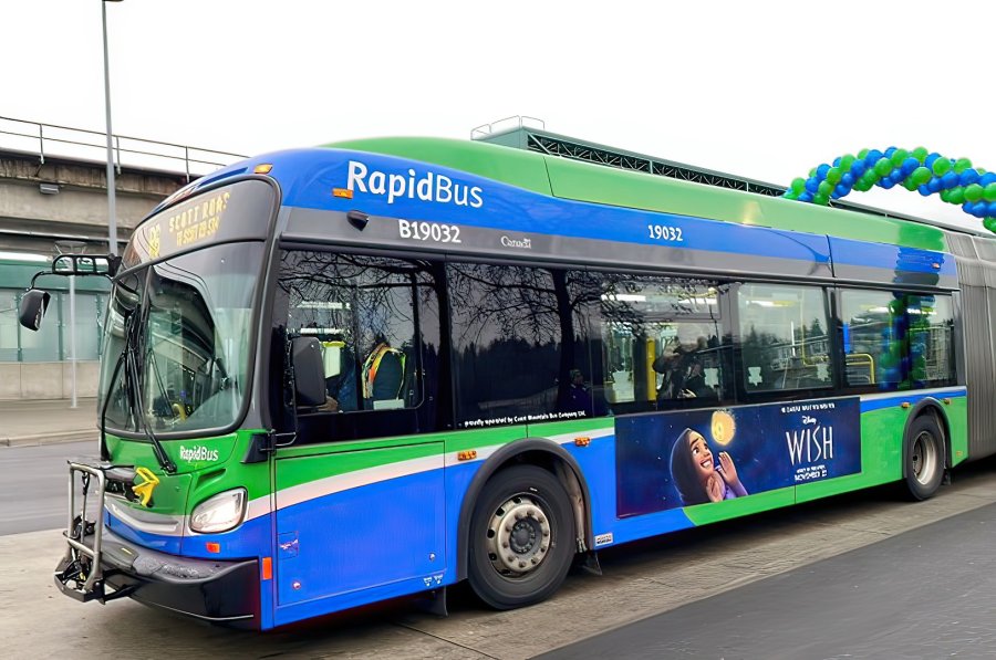 bus
