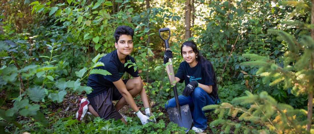 volunteers planting trees