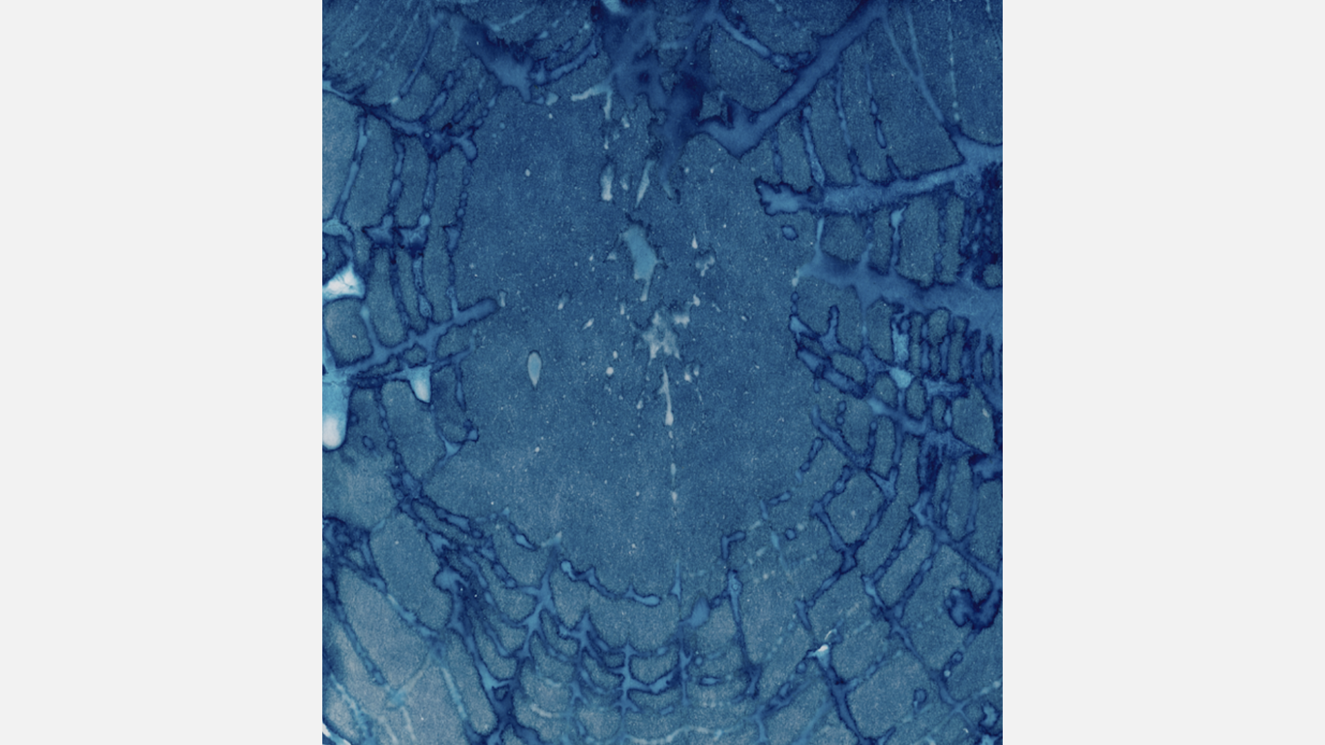 A textured blue image that resembles rippling water or a spider web.
